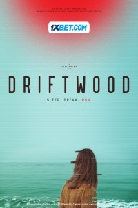 Driftwood (2024) Hindi Dubbed