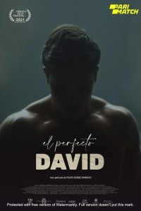 El perfecto David (2021) Hindi Dubbed