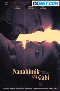 Nanahimik ang gabi (2022) Hindi Dubbed